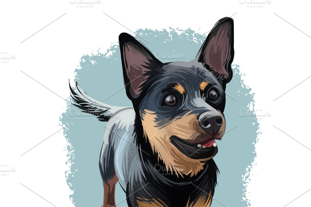 Puppies Dog Breeds Big Bundle 135Pcs, an Animal Illustration by Dneprstock (Photo 36 of 68)