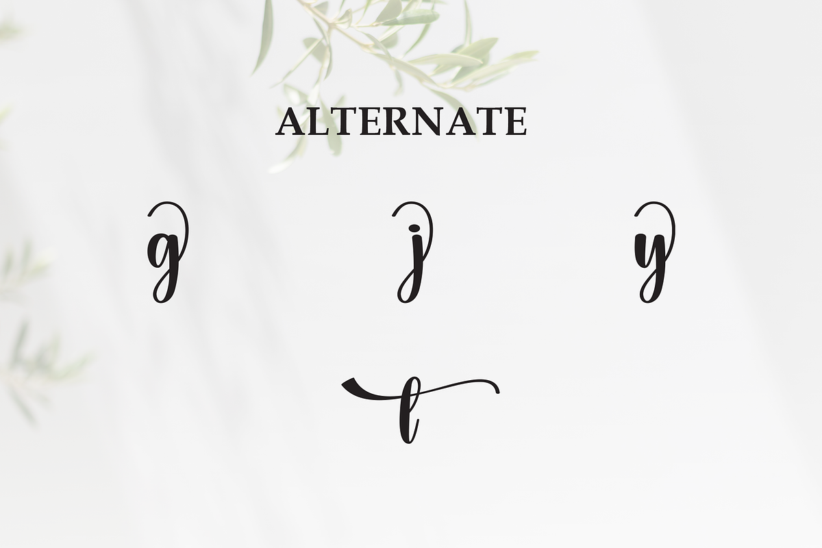 Anything | Script Font, a Handwritten Font by Scratchones (Photo 8 of 9)