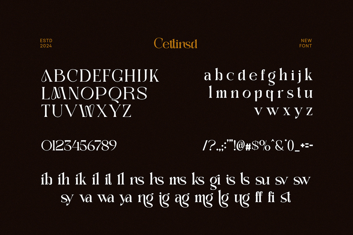 Cettinsd Elegant Serif Font Typeface, a Serif Font by Perfectype (Photo 6 of 6)