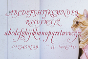 Fleur de Plume, a Script Font by Lilithcollageart (Thumbnail 7 of 9)
