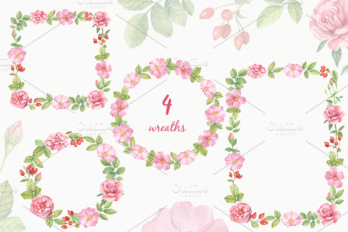 Wild Roses Watercolor Set, a Decorative Illustration by Irina Diasli (Photo 6 of 9)