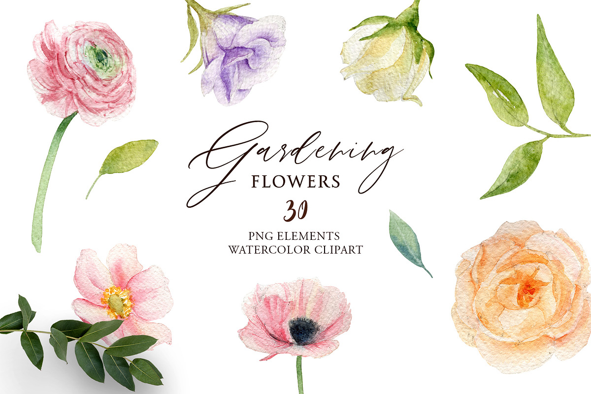 Watercolor Floral Clipart Set, an Object Graphic by NiKO (Photo 1 of 4)