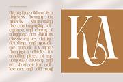 Rich Dashy Modern Elegant Serif, a Script Font by timelesstype.co (Thumbnail 6 of 20)