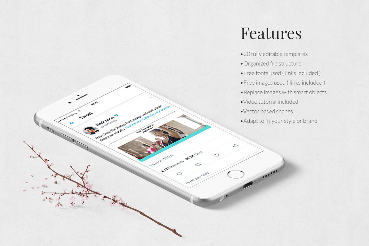 Fitness Twitter Posts, a Social Media Template by Social Corner Graphics (Photo 3 of 7)