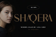 Shaqera Ligature Sans-Serif, a Sans Serif Font by Font Kingdom (Thumbnail 1 of 4)