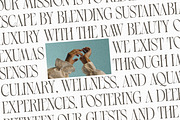 Luxury Wedding Font Bundle, a Serif Font by AndrewPixelType (Thumbnail 22 of 44)