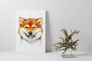 Dogs and Cats portraits, an Animal Illustration by ViktoriArt (Thumbnail 7 of 7)