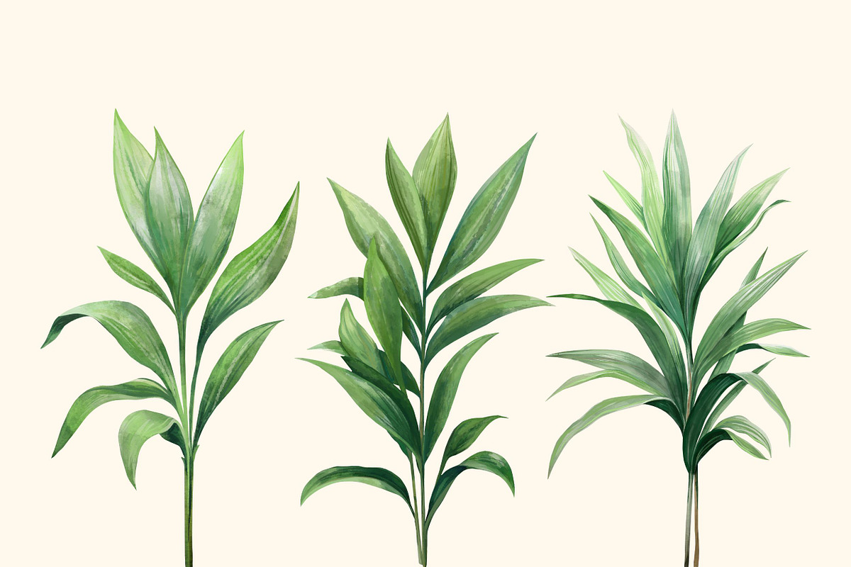Tropical leaves patterns and element, a Decorative Illustration by irina.vaneeva (Photo 8 of 11)