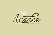Tahnia - Modern Script, a Script Font by Rillatype Studio (Thumbnail 8 of 10)