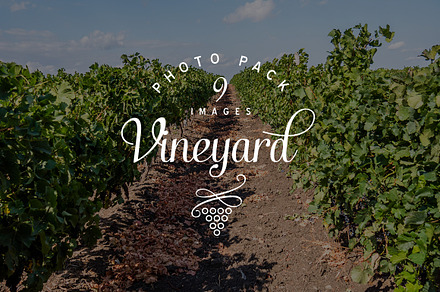 Vineyard photo pack