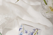 EUPHORIA Purple Watercolor Florals, a Decorative Illustration by Muse Artist (Thumbnail 10 of 12)
