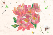 Peonies Clipart, an Illustration by Lucyinyourheart (Thumbnail 5 of 5)