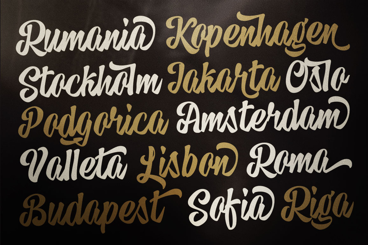 Hedgehock - Bold Script Logotype, a Sans Serif Font by Dirtyline Studio