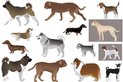 Dog show, an Animal Illustration by Viktoria.1703 (Thumbnail 3 of 3)