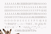 Nocashe New Display Serif Font, a Serif Font by Storytype Studio (Thumbnail 14 of 15)