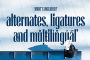 Enterprise Typeface | Early Bird 50%, a Sans Serif Font by 50Fox (Thumbnail 5 of 9)