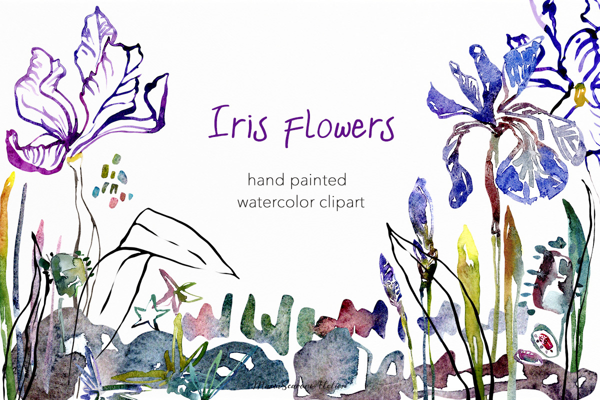 Watercolor Iris Flowers Clipart, a Decorative Illustration by MariaScaroniAtelier (Photo 1 of 6)