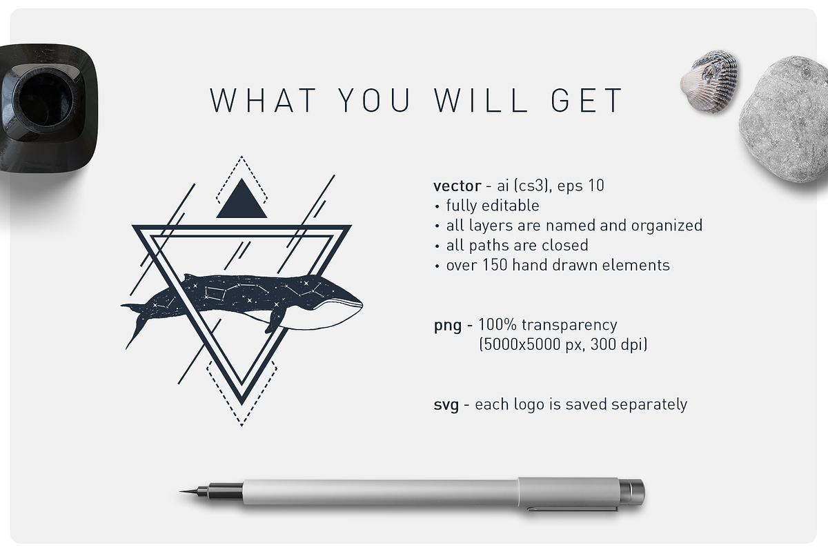 Welcome Aboard. 15 Logos & Badges, a Branding & Logo Template by Cosmic Store (Photo 10 of 11)