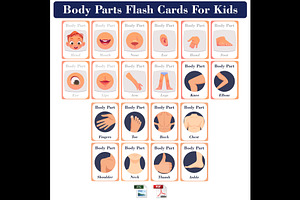 Body Parts Flash Cards for Kids, a School & Education Photo by DigitalsDesigns