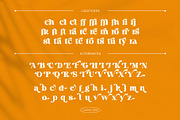 Royal Tomato – Display Retro Serif F, a Serif Font by BrandSemut (Thumbnail 10 of 10)