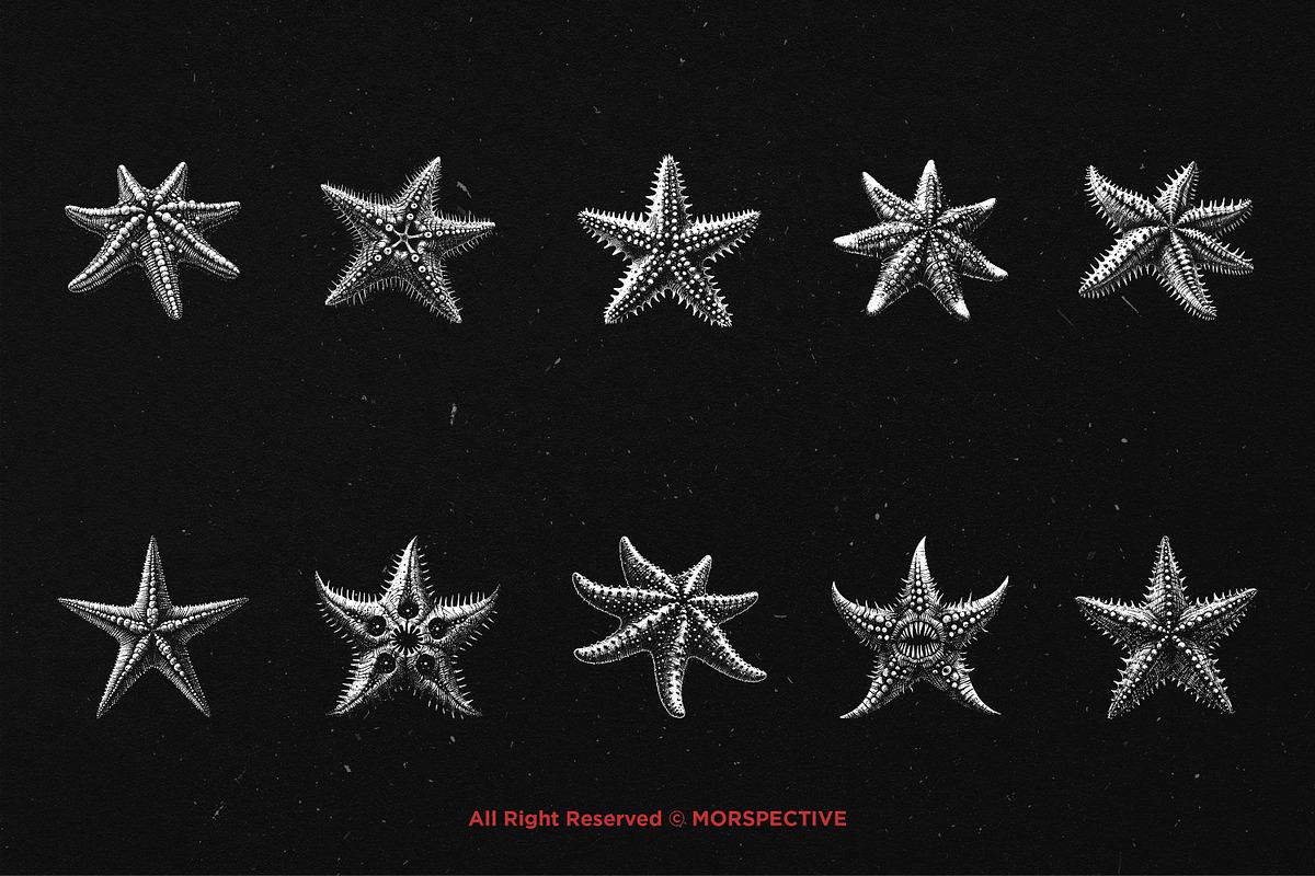 10 Bundle Dark Art Starfish Ocean, an Illustration by Morspective (Photo 6 of 7)