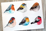 Birds watercolor, an Illustration by irina.vaneeva (Thumbnail 2 of 3)