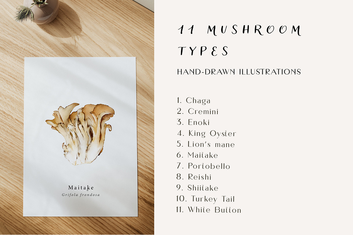 Mushroom illustration. Fungi clipart, a Food Illustration by Diana Askarova Art (Photo 2 of 6)