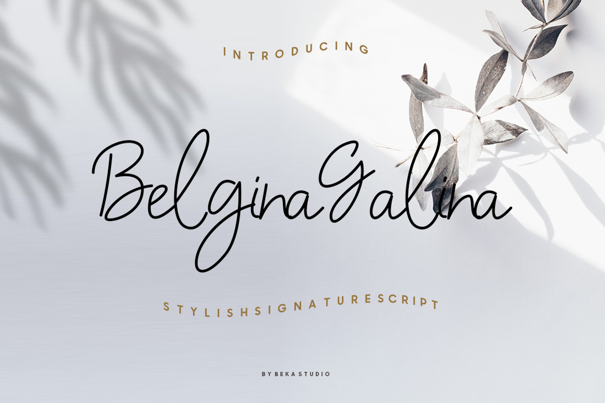 Belgina Galina Stylish Signature, a Serif Font by Beka Studio (Photo 1 of 9)