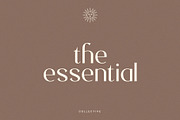 Fondest, a Sans Serif Font by Prioritype Co (Thumbnail 6 of 10)