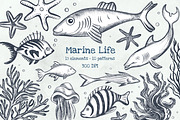 Sea Animals Pencil Clipart, an Illustration by Hanna's ArtLab (Thumbnail 1 of 4)