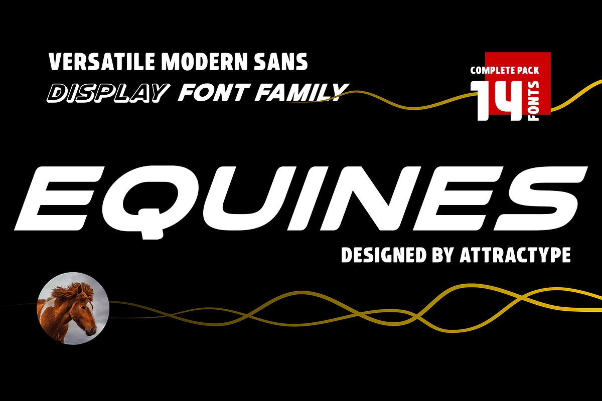 Equines Display Bold Family Complete, a Sans Serif Font by Attractype (Photo 1 of 9)