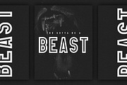 Elephant Font Family -50%, a Sans Serif Font by VP Fonts (Thumbnail 5 of 14)