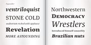 Pagewalker, a Serif Font by Kostic Type Foundry (Thumbnail 9 of 10)