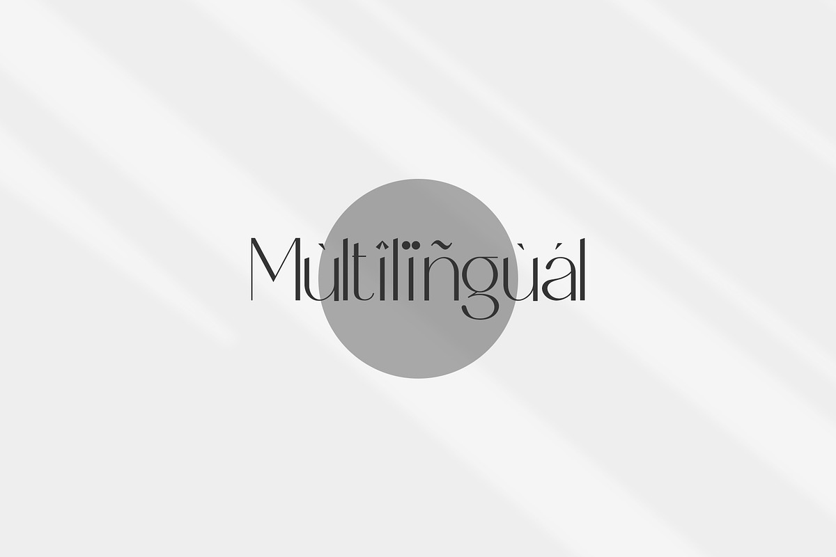 Fanathic Elegant Sans Serif Font, a Sans Serif Font by AnnofaType (Photo 5 of 10)