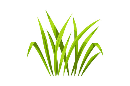 Illustration of bunch of green grass, an Object Graphic by incomible