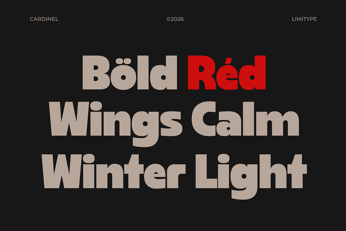 Cardinel - Bold Font, a Sans Serif Font by limitype (Photo 4 of 13)