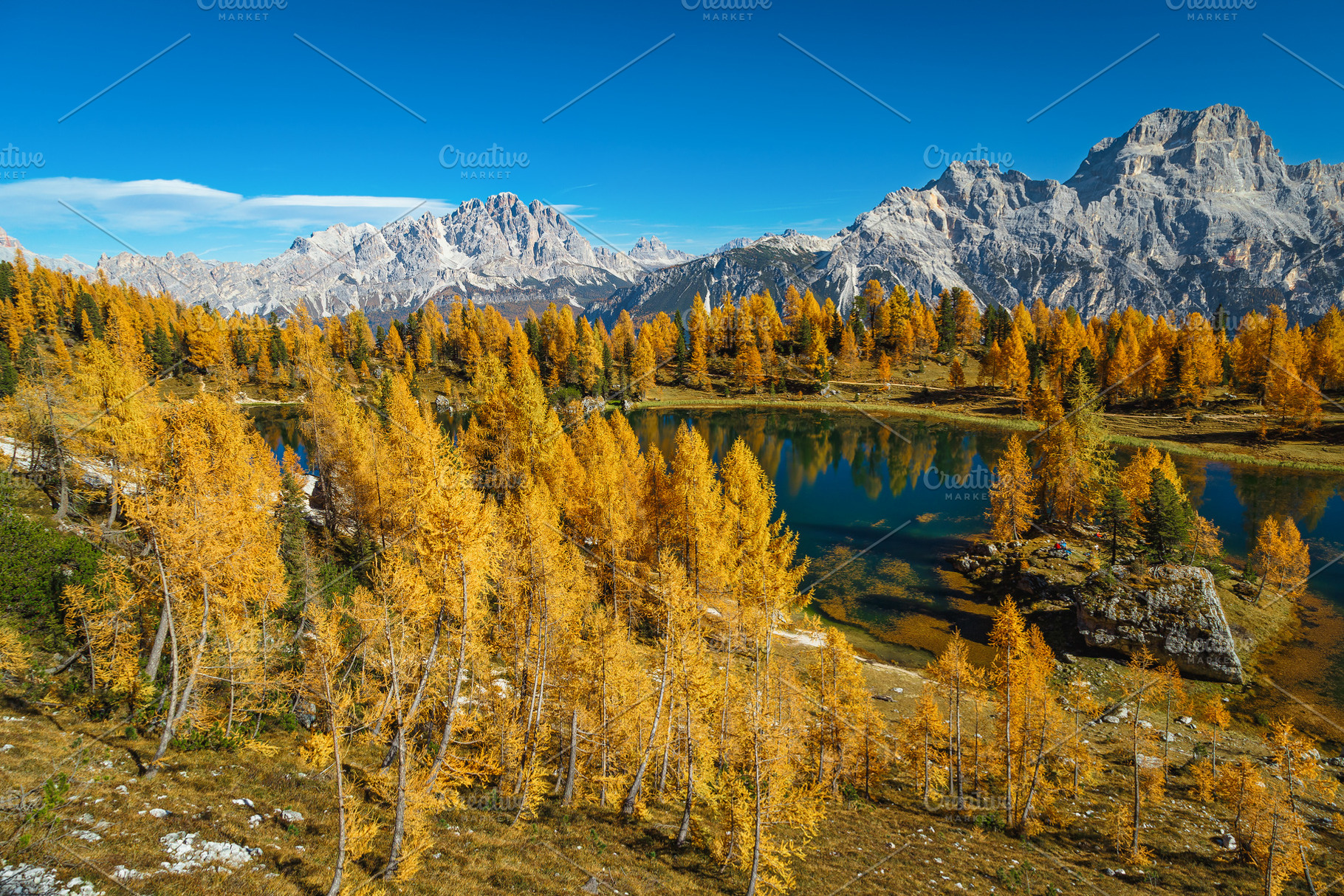 Federa lake in the larch forest, a Nature Photo by Alpine Dreams