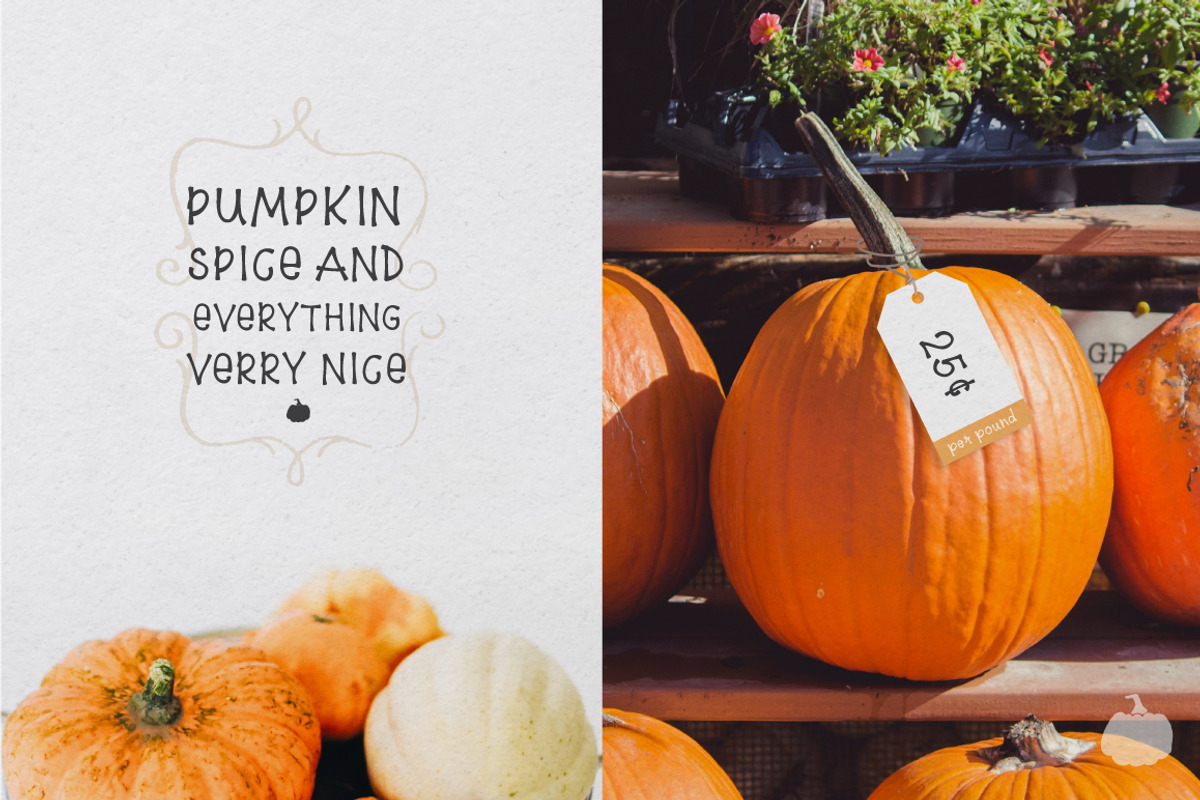 5$ Pumpkin Farm Font preview 5