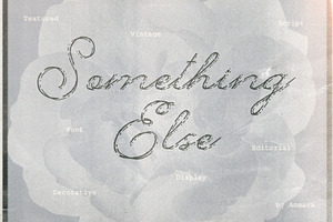 Something Else Textured Script, a Script Font by AnMark
