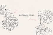 Rose Garden Vector Illustrations, an Illustration by Emma Webb Studio (Thumbnail 6 of 8)