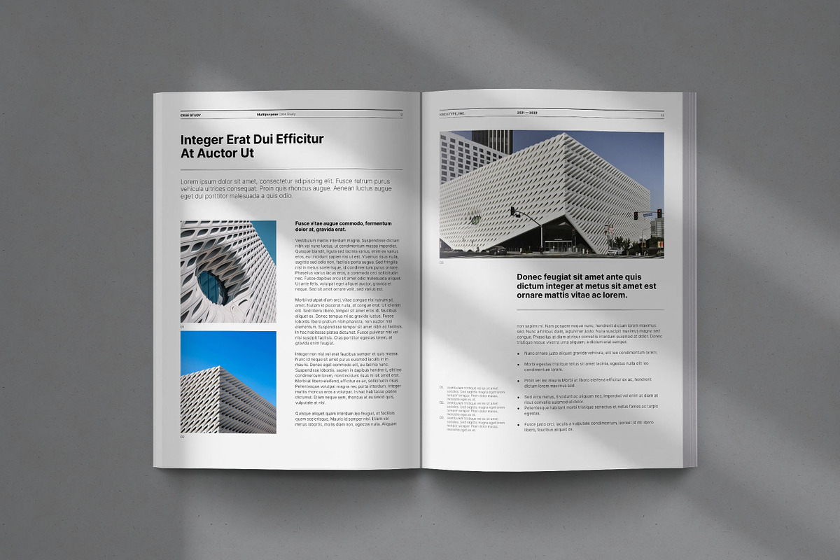 Kreatype Case Study, a Brochure Template by Kreatype Studio (Photo 9 of 17)