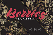Berry fruits collection, a Food Illustration by Quetzal Art (Thumbnail 1 of 5)