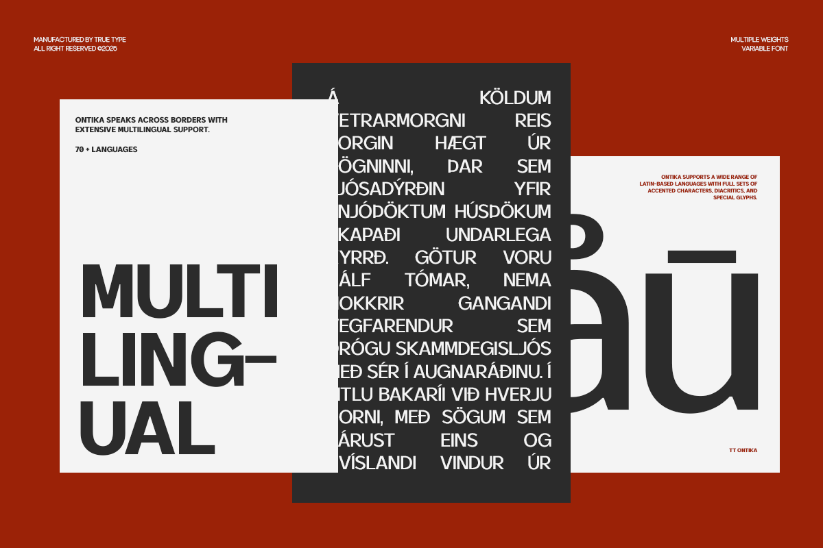 TRT Ontika Variable Sans Serif, a Sans Serif Font by truetype (Photo 15 of 15)