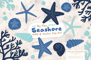 Seashells Clipart in Oceana, an Illustration by Amanda Ilkov