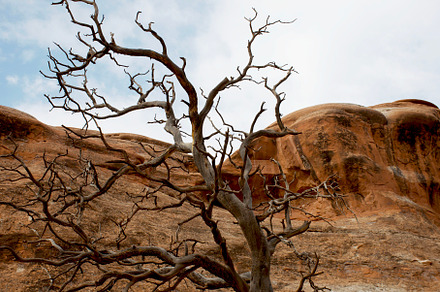 Arches National Park, a Nature Photo by Figment.Studio