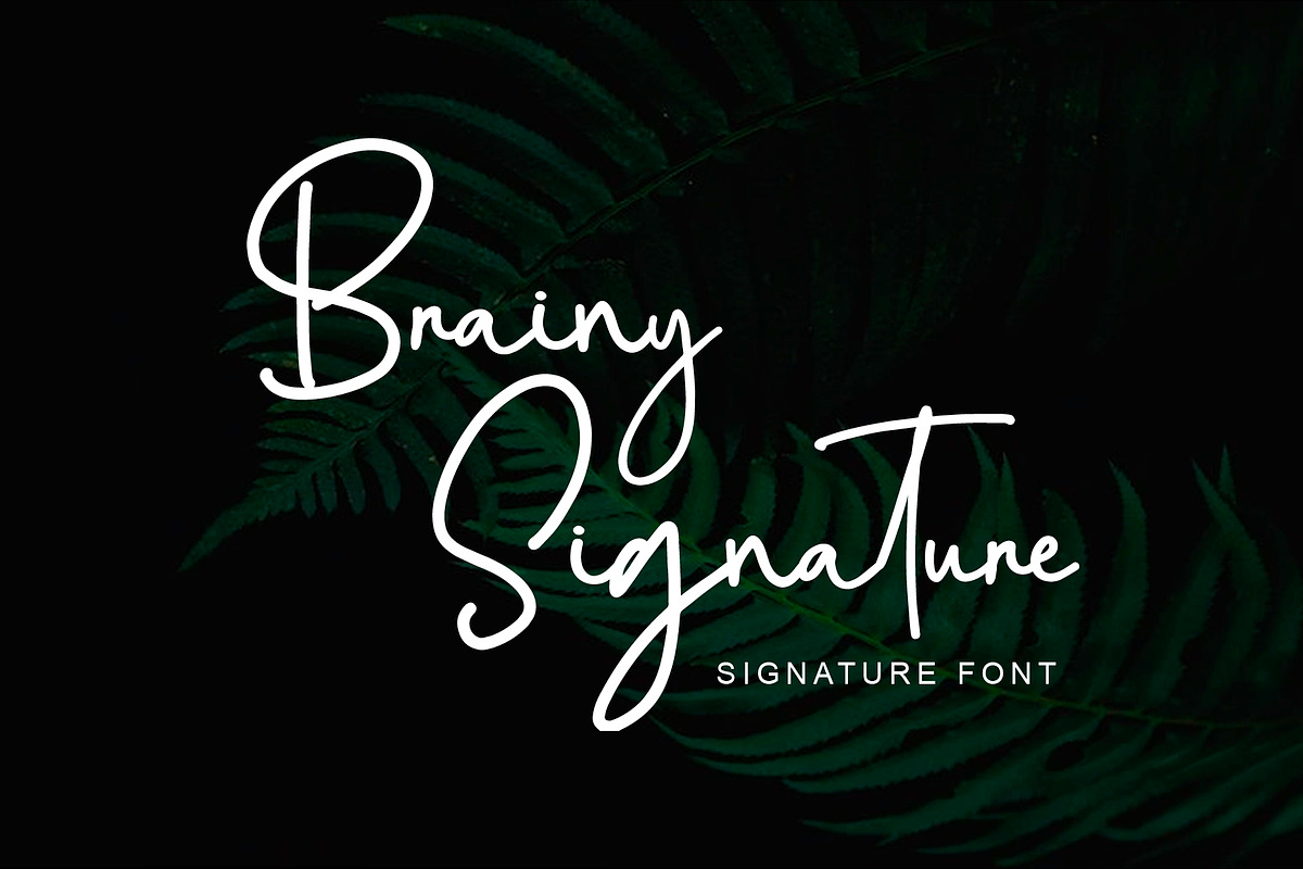 Brainy Signature Font, a Script Font by Yuby Creative (Photo 1 of 7)