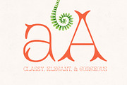 Fernaria - Art Nouveau Typeface, a Serif Font by HipFonts (Thumbnail 2 of 9)
