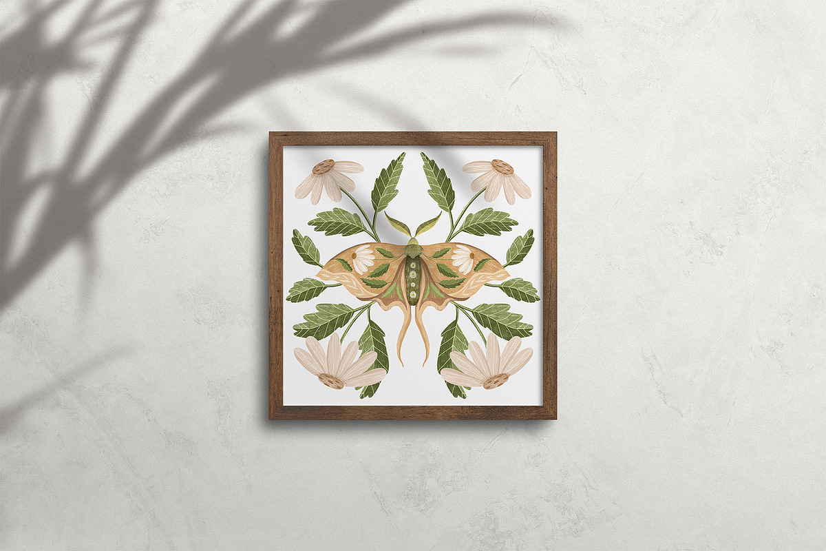 Luna moth clipart & pattern, an Animal Illustration by Yelloo Fish (Photo 10 of 11)