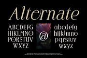 Deloca Moreys Typeface, a Serif Font by alit design (Thumbnail 9 of 20)