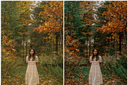 30  MOODY AUTUMN PRESETS, a Preset Add-On by Victoria Bee Presets (Thumbnail 10 of 14)